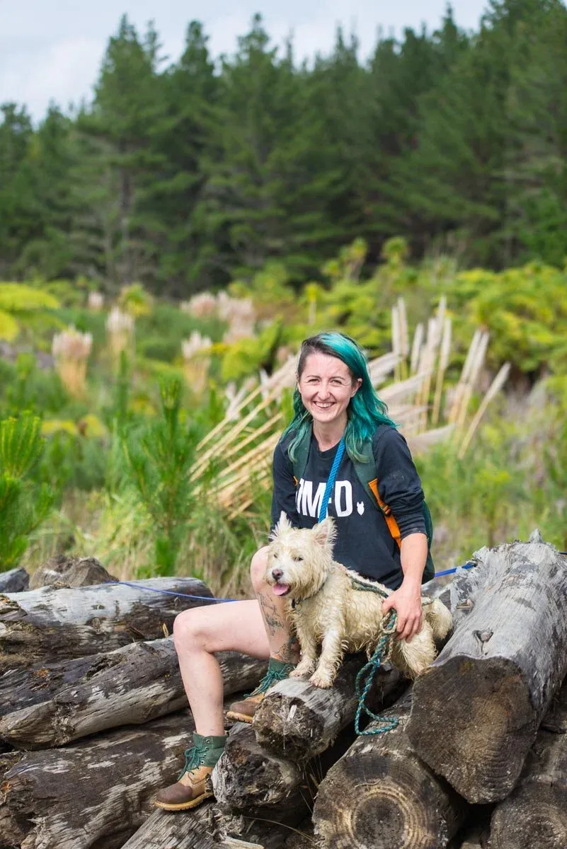 A dog stands focused, ready for its next command during an outdoor session with an experienced Auckland dog walker, highlighting structured training.