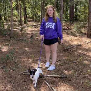A dog walker holding a leash in a park