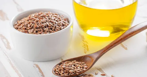 A dog with a healthy, shiny coat