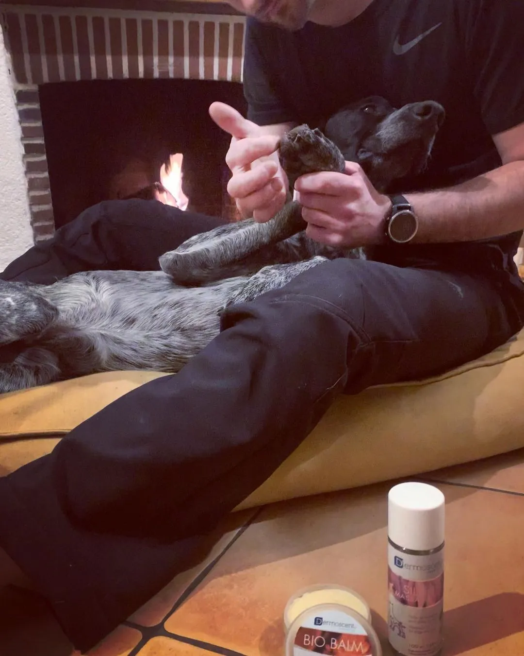 A dog's paw pad receiving care, illustrating the use of Dermoscent BIO BALM to maintain optimal paw health and prevent irritation.