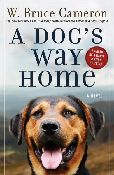 A Dog's Way Home book cover featuring Bella, illustrating the journey for A Dog's Way Home series order