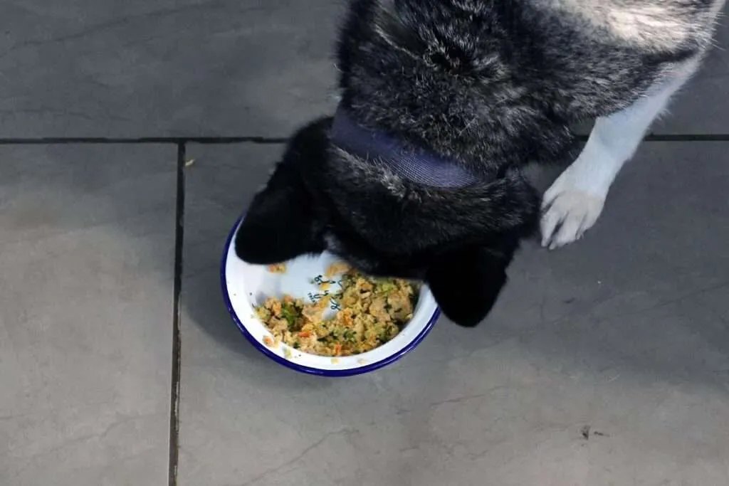 A freezer packed with various food items, suggesting limited space