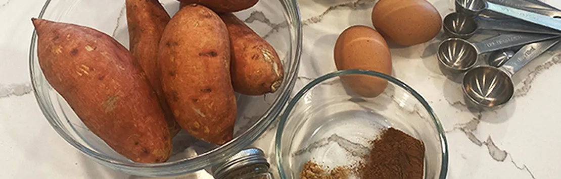 A freshly baked sweet potato dog treat, perfectly golden brown and ready to be enjoyed by an allergic dog.