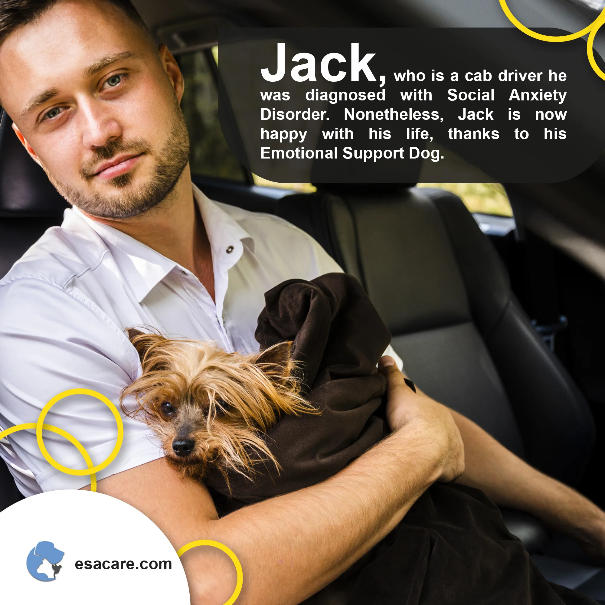 A friendly black and white dog looking up at its owner, conveying comfort and companionship.