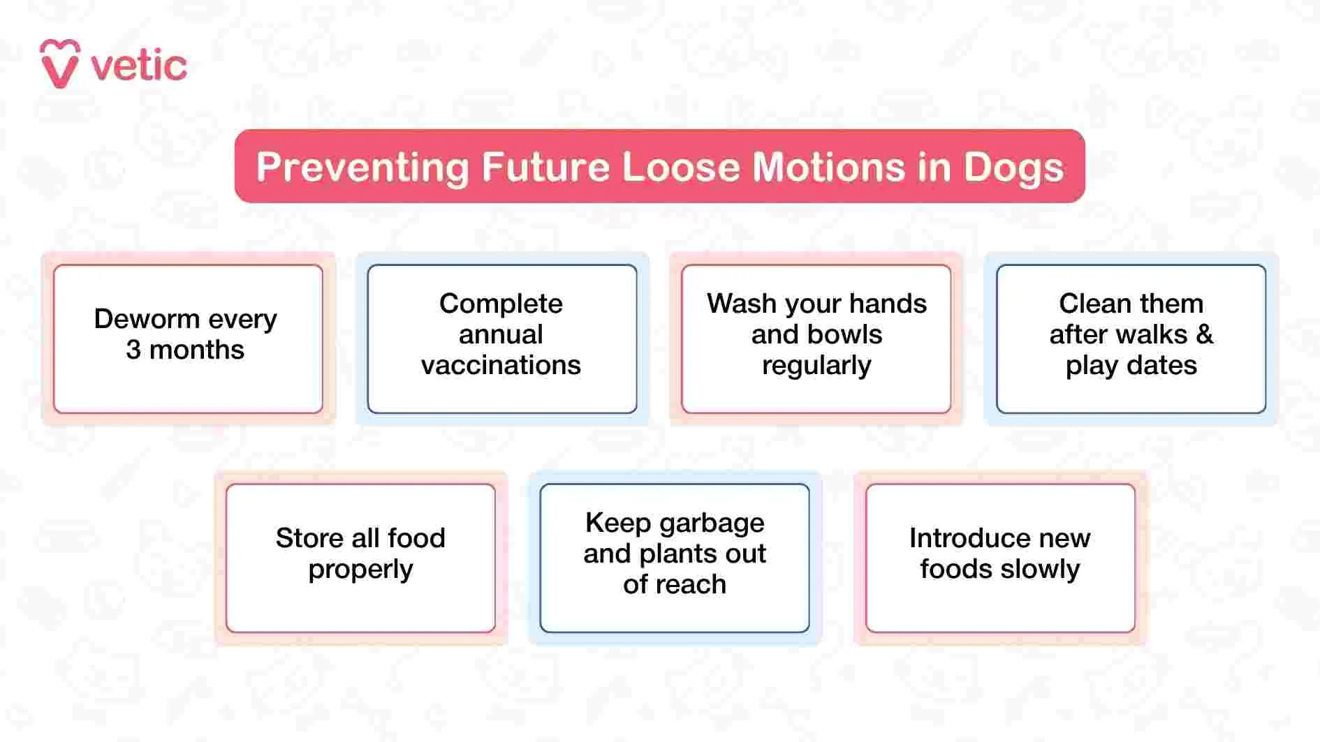 A friendly infographic from Vetic providing a visually segmented guide to proactively preventing loose motions in dogs. The infographic uses a soft pink banner for its title, "Preventing Future Loose Motions in Dogs," setting a helpful and reassuring tone. Seven distinct prevention tips are laid out in individual boxes, each conveying a clear and actionable message. These include maintaining routine deworming and vaccinations, ensuring strict hygiene by washing bowls and hands, cleaning up after walks, storing food properly, keeping harmful items out of reach, and gradually introducing new foods.