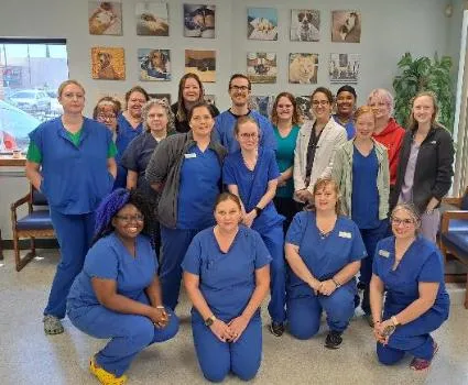 A friendly veterinary team member interacting with a patient pet in a clinic