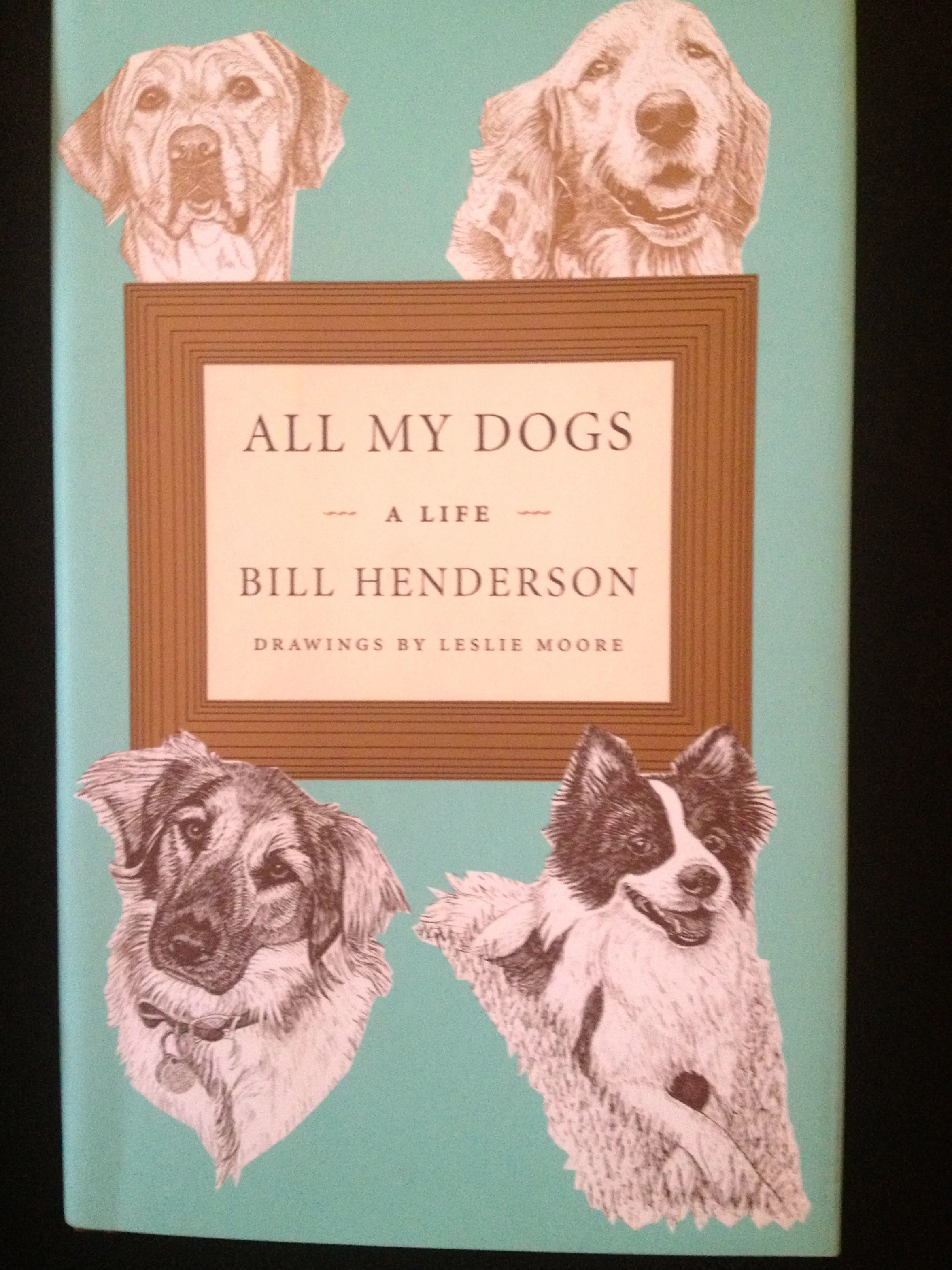 A gentle hand petting a dog, symbolizing the deep love and connection in true dog stories