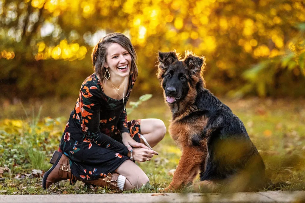 A German Shepherd puppy at 3 months old, captured in a heartwarming portrait, showcasing its gentle and curious nature.