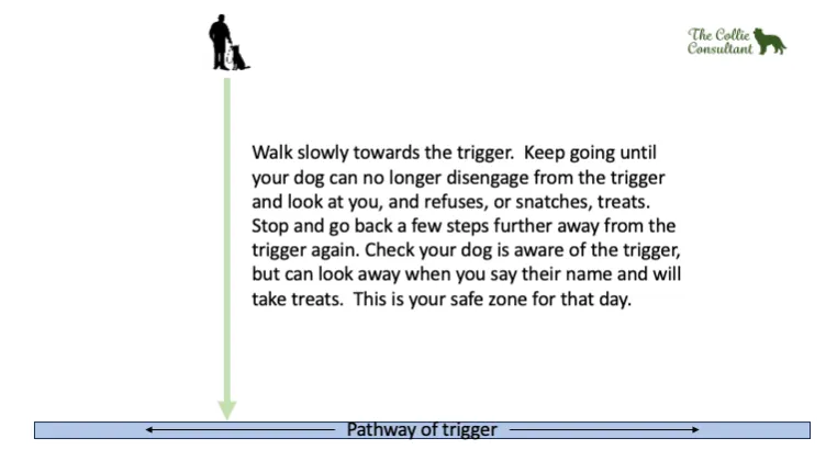 A graphic illustrating different zones of proximity to a trigger for a dog.