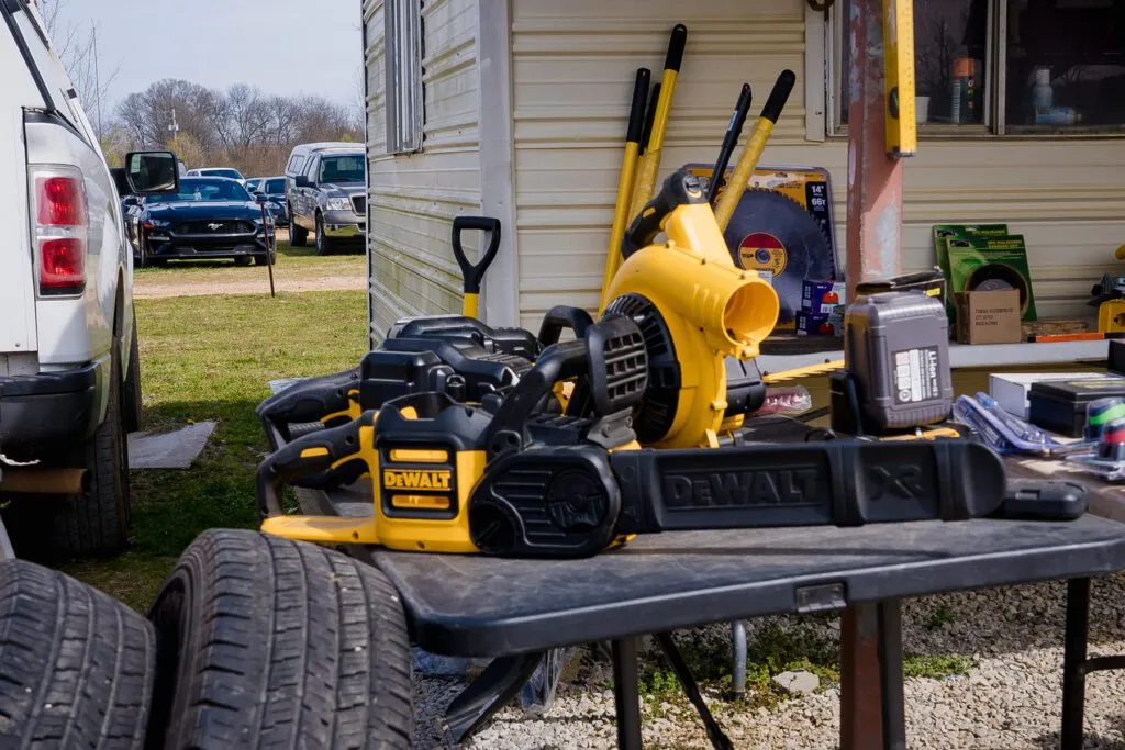 A group of diverse people interacting positively with a Yorkshire Terrier puppy, emphasizing early socialization.