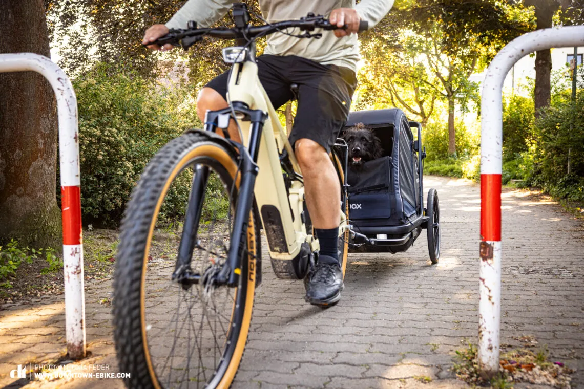 A Hamax dog bike trailer navigates through a city park, demonstrating its maneuverability through obstacles.