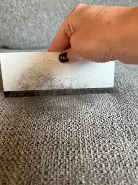 A hand holding a squeegee, dragging it across a couch cushion, collecting a line of dog hair