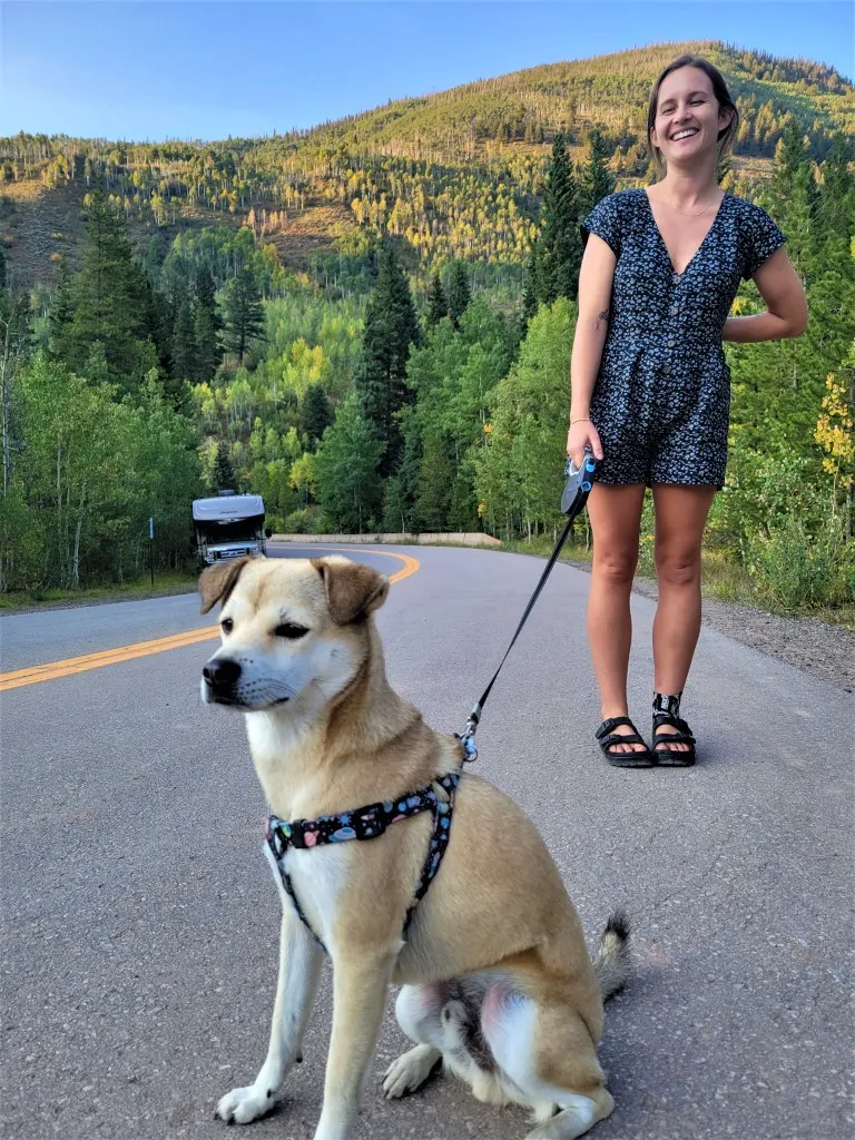 A happy dog, Bandido, enjoying an outdoor walk, illustrating the rewarding experience of Rover dog walking jobs and getting paid to play.