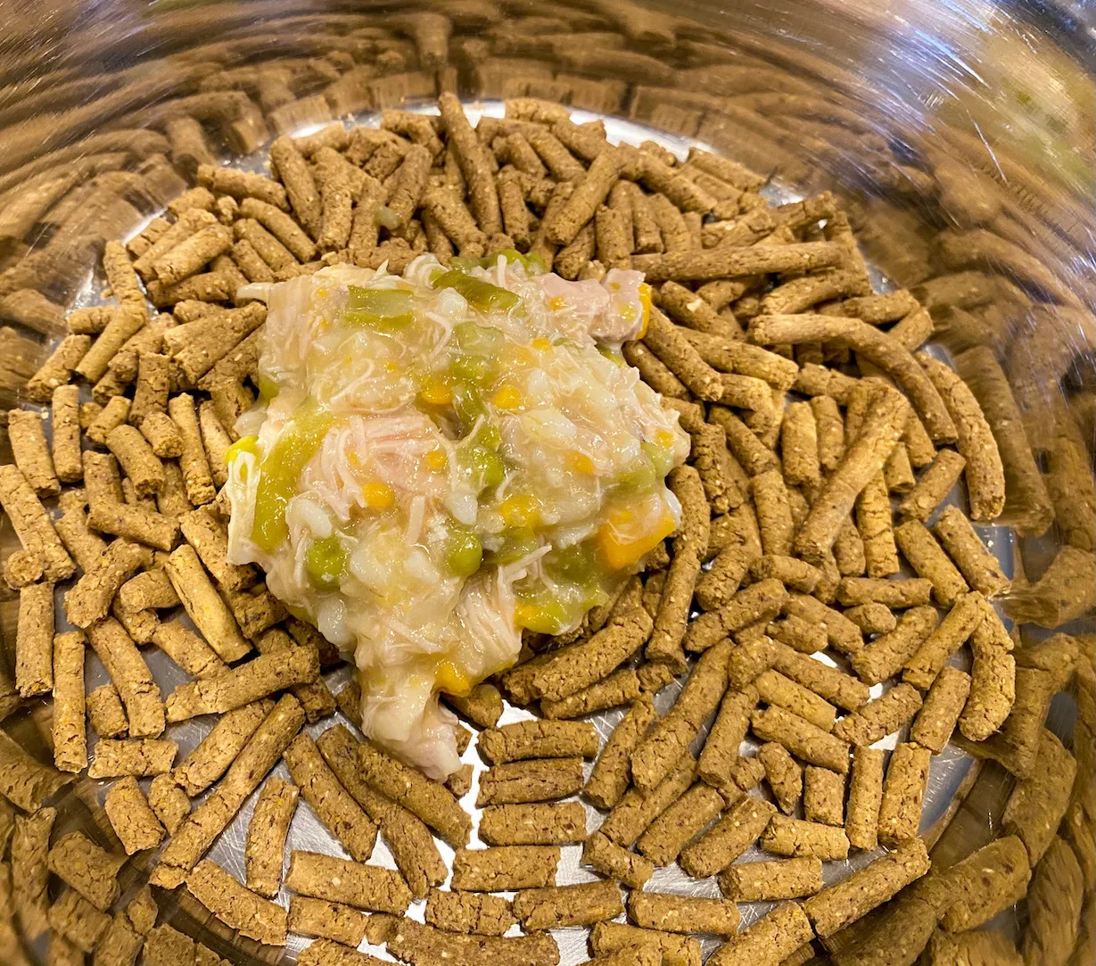 A happy dog enthusiastically eating its meal of kibble topped with Instant Pot chicken and rice stew