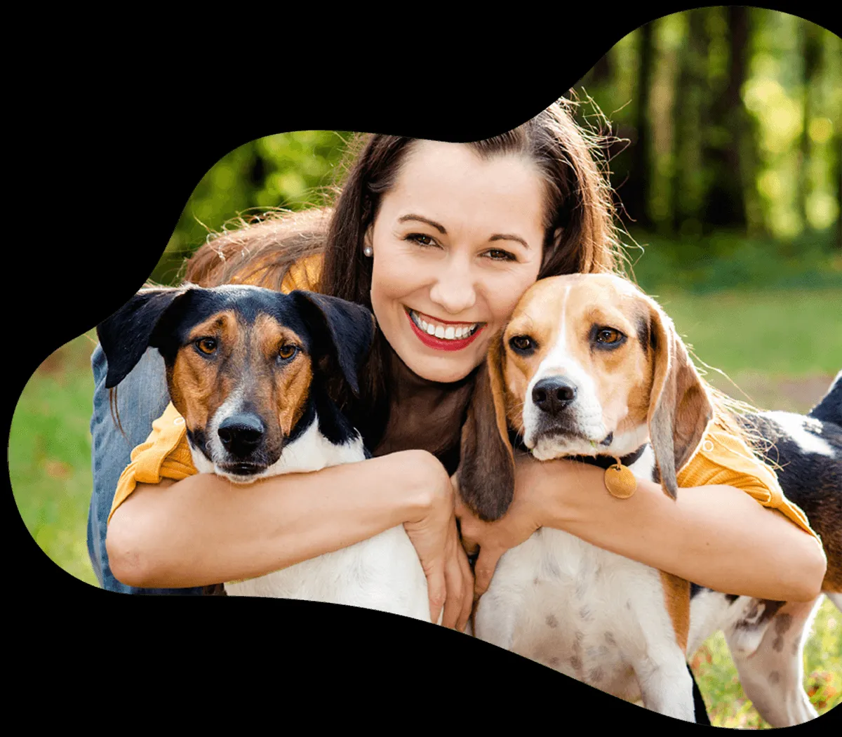 A happy dog sitting comfortably on a rug in a home setting, looking at its owner