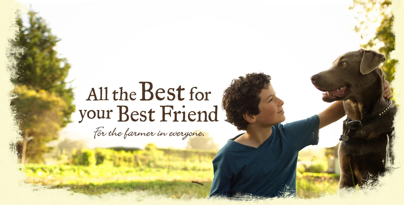 A happy dog walks on a leash with its owner, symbolizing healthy pet activity and care, often supported by quality supplements like Dyne.