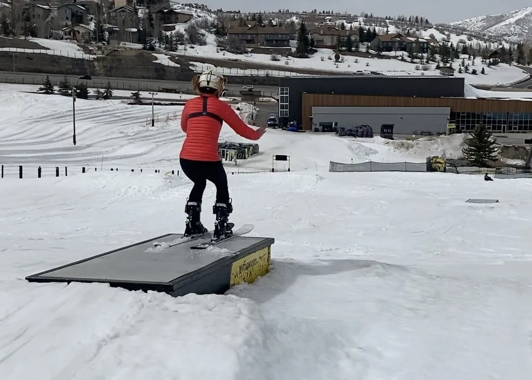 A happy senior dog successfully performing a complex trick with a focused owner, illustrating advanced training.