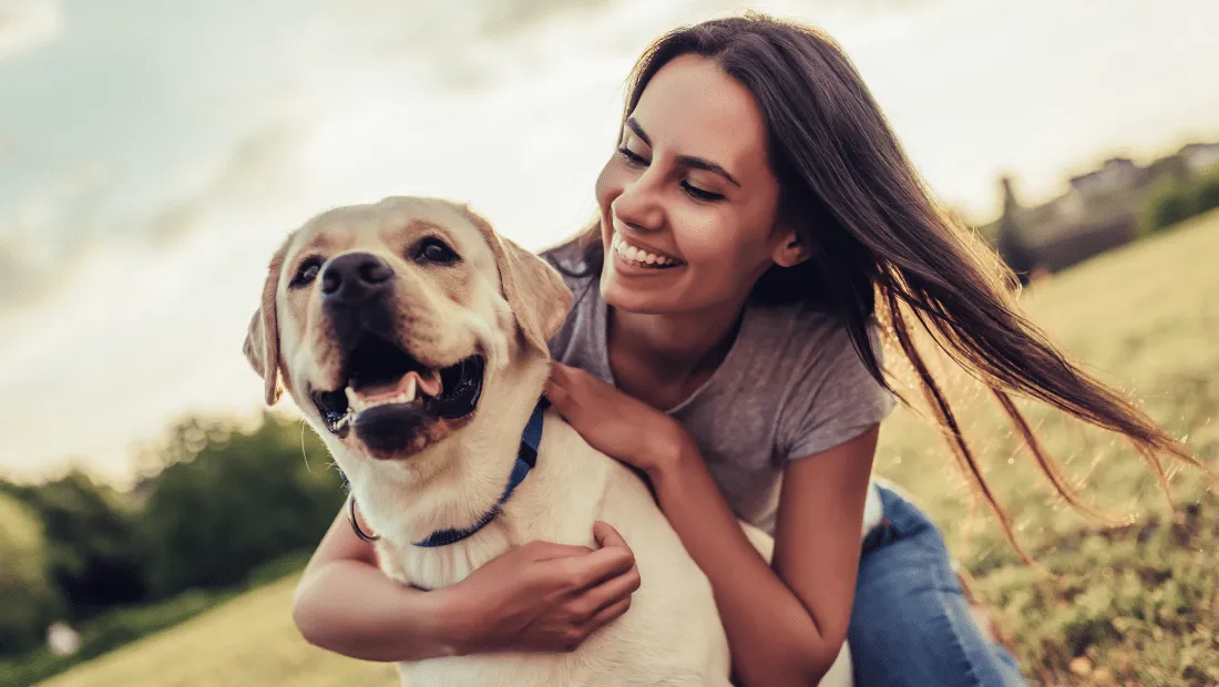 A happy woman playing with her dog in a sunny field, symbolizing the joy of a healthy pet