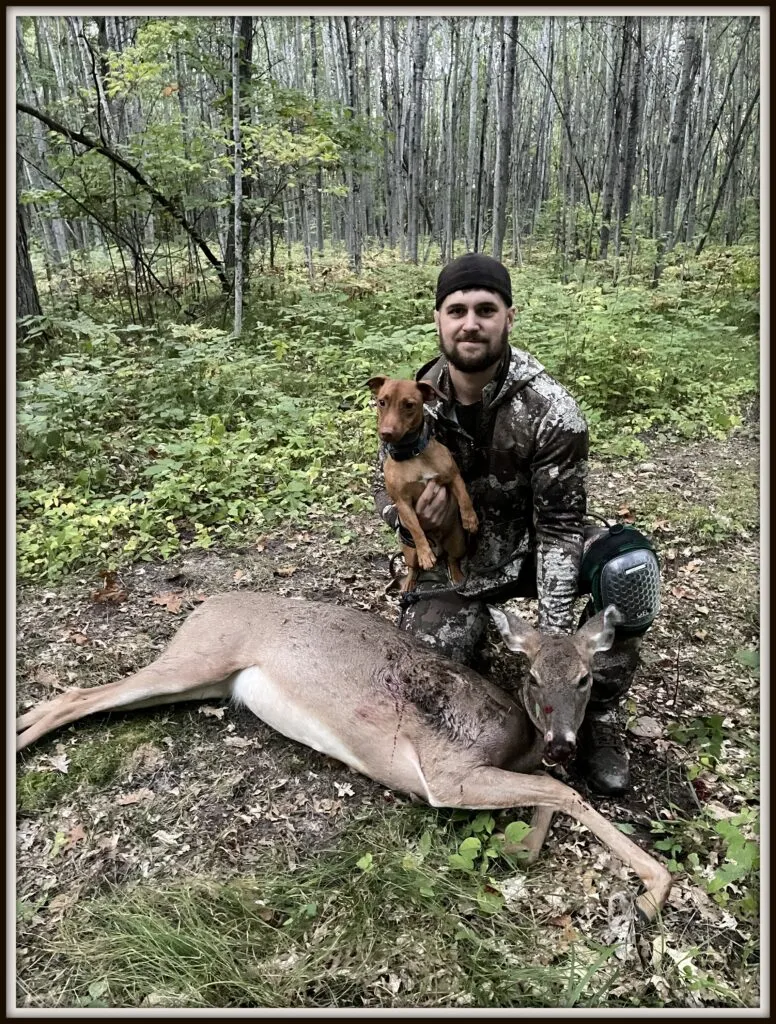 A Jack Russell Terrier proudly standing over a deer, highlighting its hunting ability