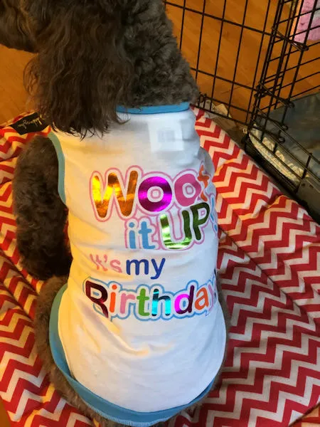 A Labradoodle named Bella Cruz celebrating her 3rd birthday with a fun shirt.