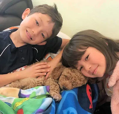 A Labradoodle named Coco with kids, a sweet girl who loves to play.