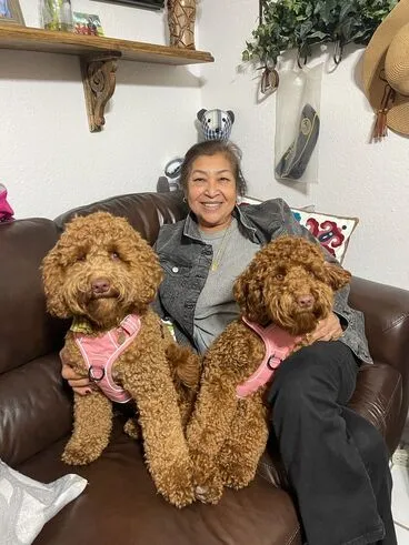 A Labradoodle puppy named Mila snuggling with Frida and their owner, showing their affectionate bond.