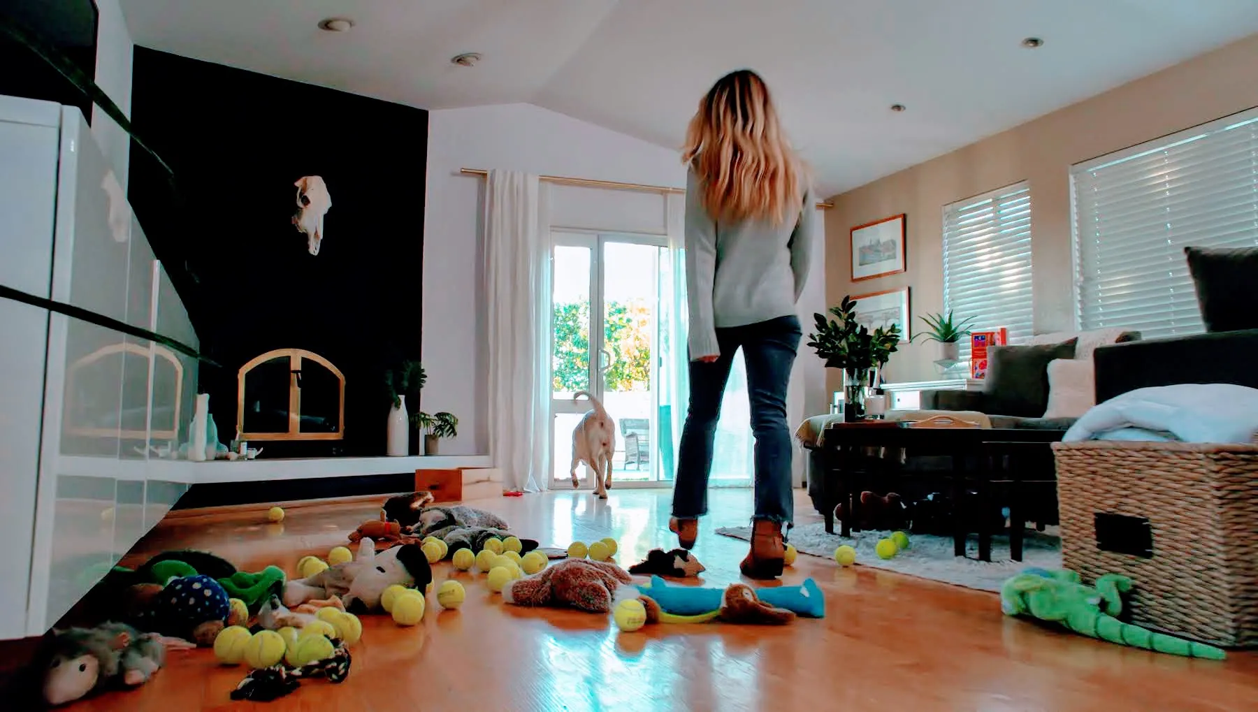 A large, calm dog sitting in a field, representing well-behaved canine companionship.