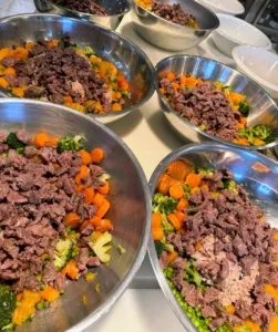 A large quantity of prepared food components, including venison and vegetables.