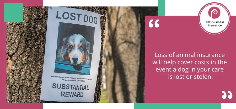 A 'lost dog' poster offering a reward, pinned to a tree