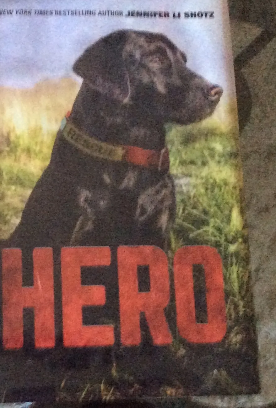 A loyal black Labrador dog, "Hero," sitting protectively beside a young boy, Ben, with the book cover of "Hero" by Jennifer Li Shotz subtly in the background, symbolizing their unbreakable bond.