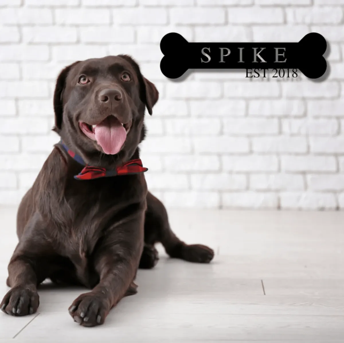 A Man's Best Friend Sign