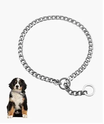 A metal chain choke collar used for dog training