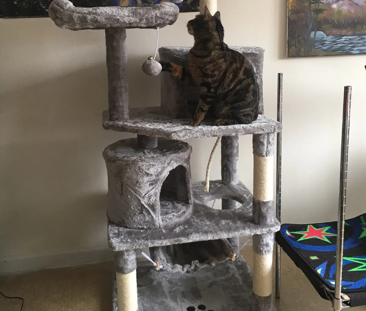 A multi-level cat condo, illustrating how diverse cat furniture, including chewy cat litter box furniture, can enhance a pet-friendly living space.