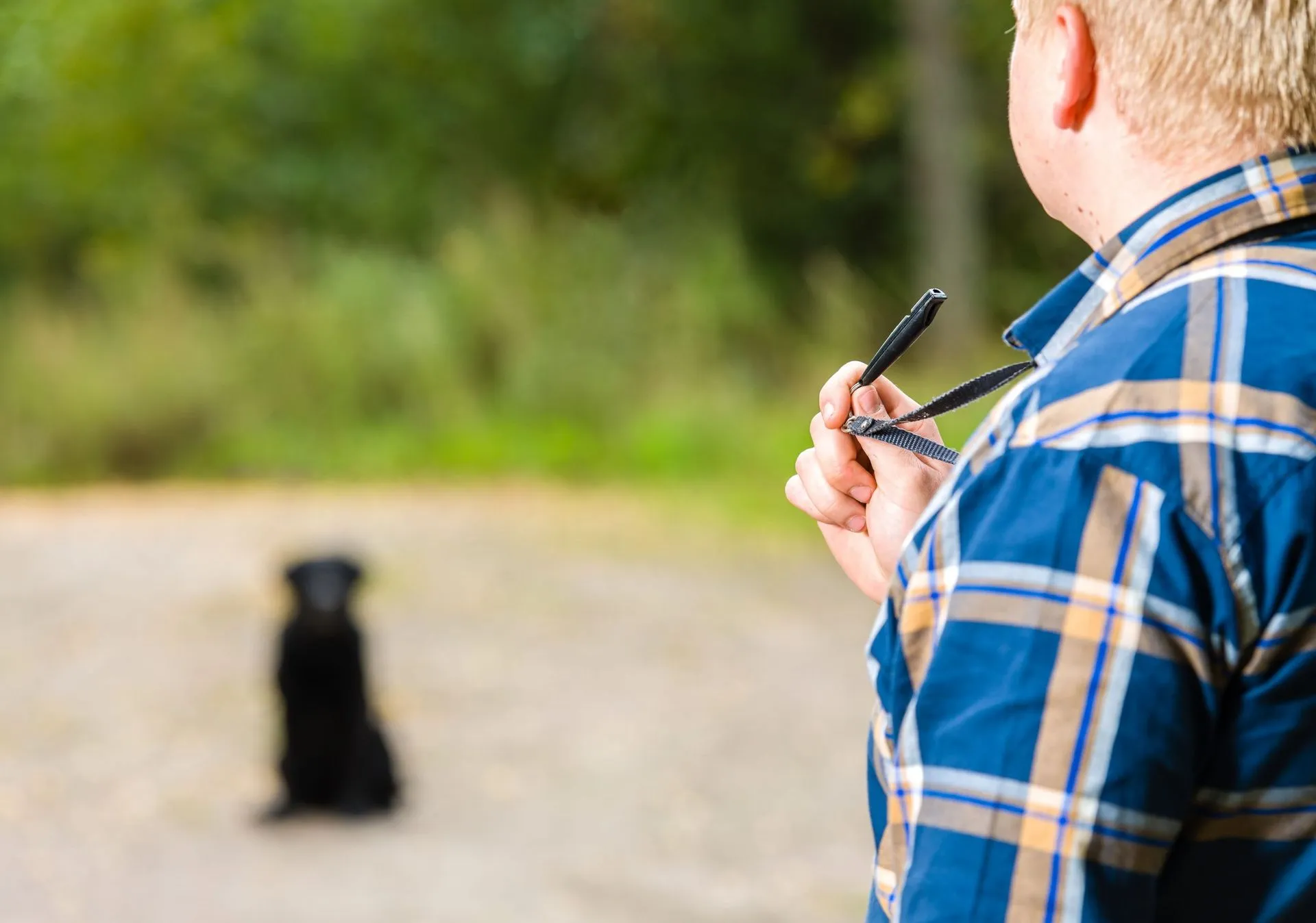 A person blowing a whistle to their dog in an open field, with the dog running towards them.