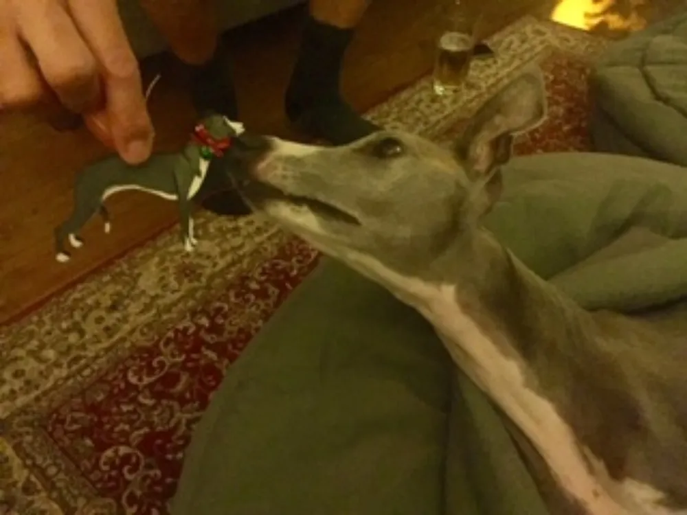 A personalised dog decoration as a gift