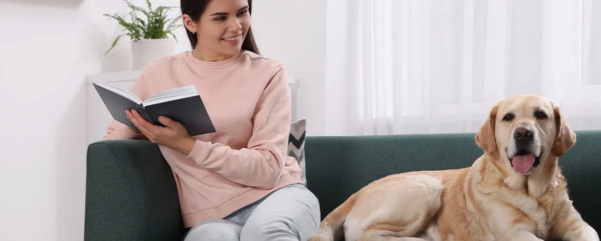 A pet receiving urgent veterinary attention from a caring professional