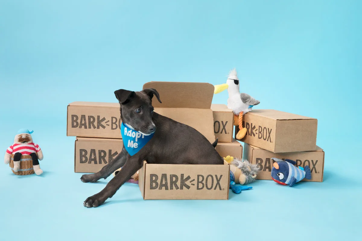 A playful puppy offering its paw for a treat