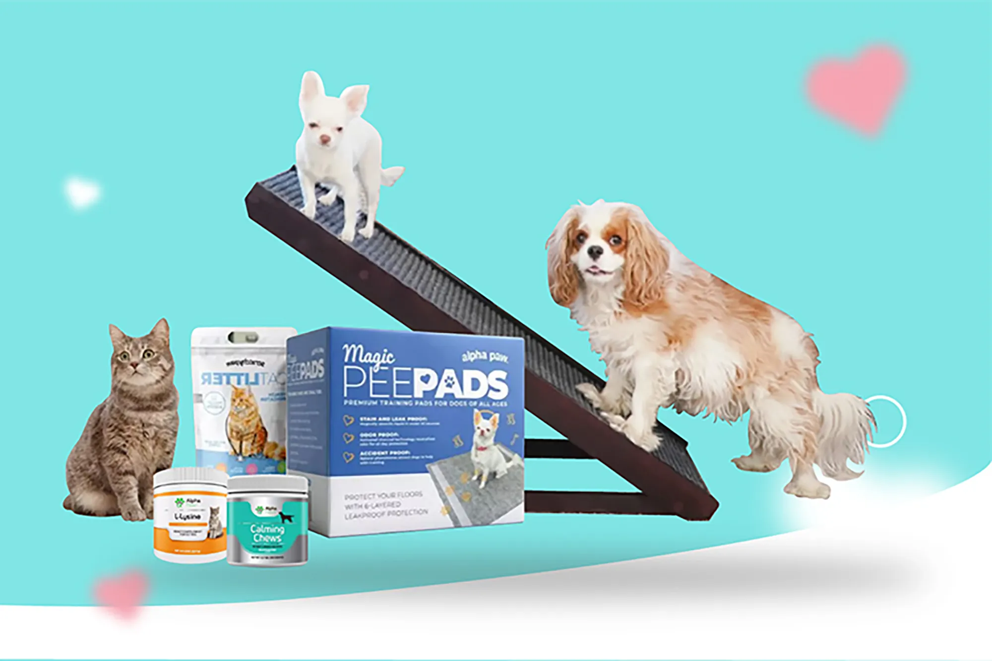 A playful scene with two dogs on a seesaw and pet supplies, highlighting Alpha Paw's range of basic and innovative dog accessories.