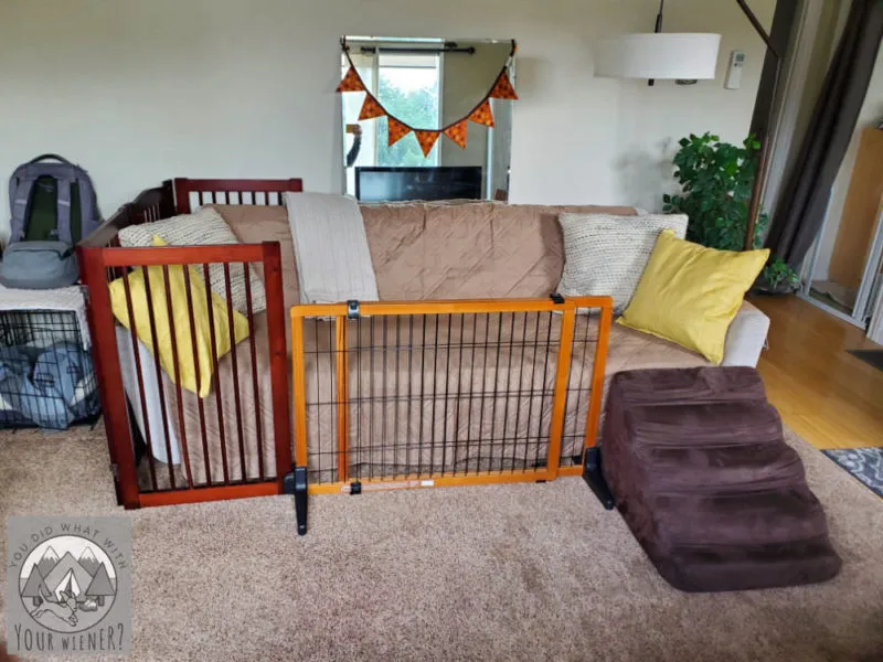A practical setup demonstrating dog gates and a ramp surrounding a couch, designed to train a dog to use the ramp instead of jumping.