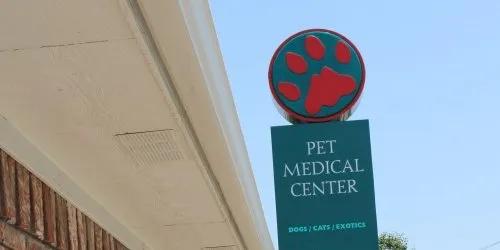 A professional veterinary clinic setting with staff and pet