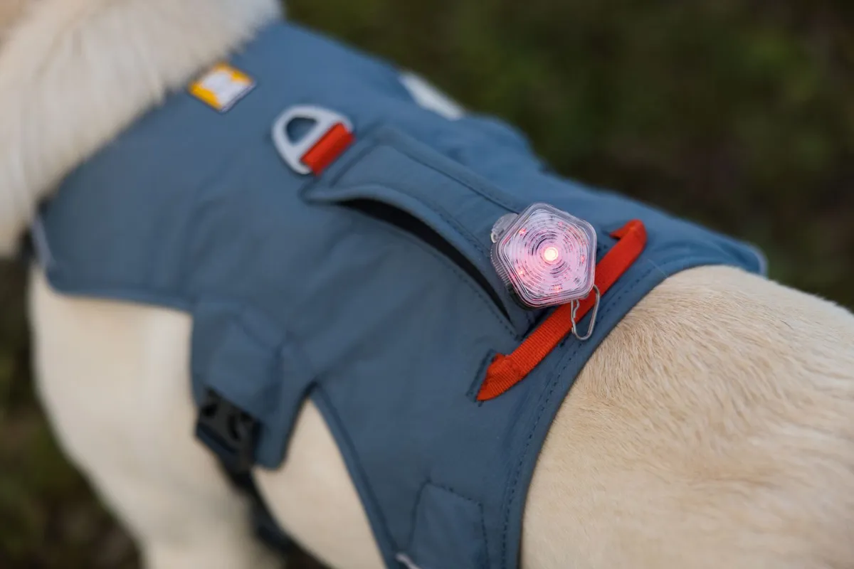 A Ruffwear Web Master Harness with The Beacon attached, demonstrating enhanced visibility for evening and low-light dog adventures.