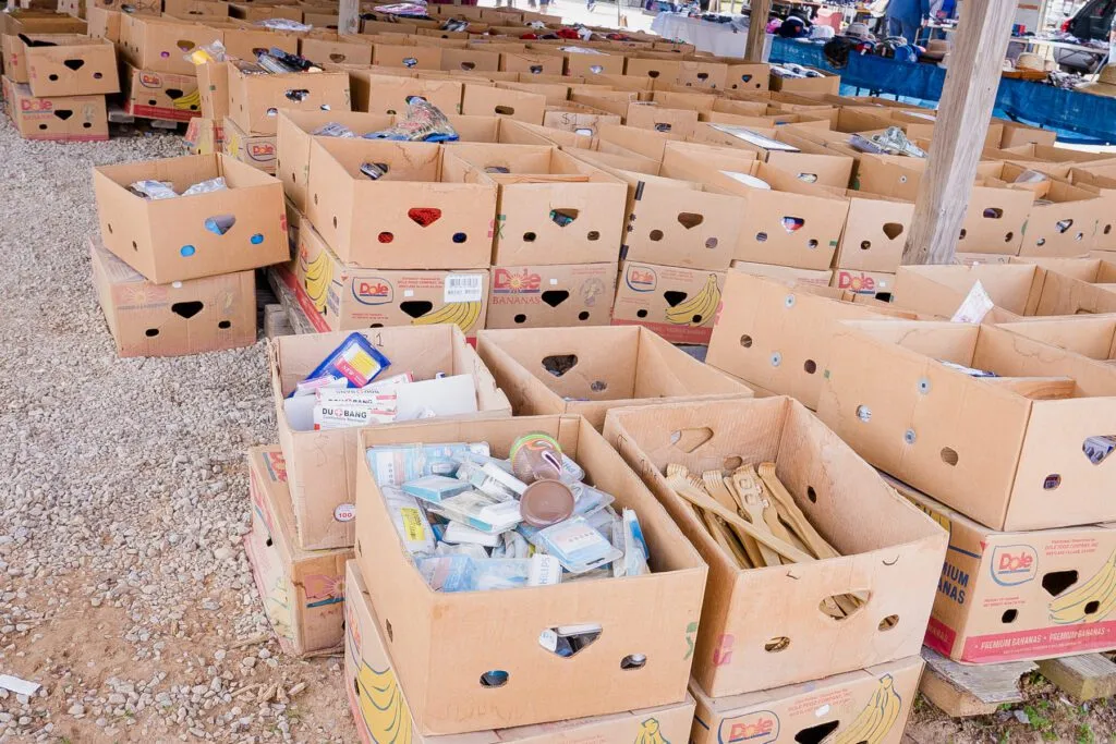 A selection of high-quality dog food and grooming supplies, indicating the ongoing costs of pet ownership.