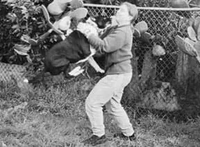 A small, dark reactive dog on a leash, lunging and barking at something unseen, held by a person whose hand is blurred.