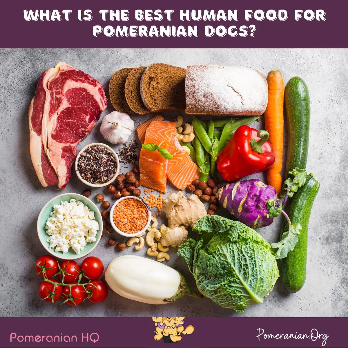 A small, fluffy Pomeranian dog happily looking at a bowl of fresh, healthy human food options like carrots, berries, and meat, illustrating safe foods for Pomeranians.