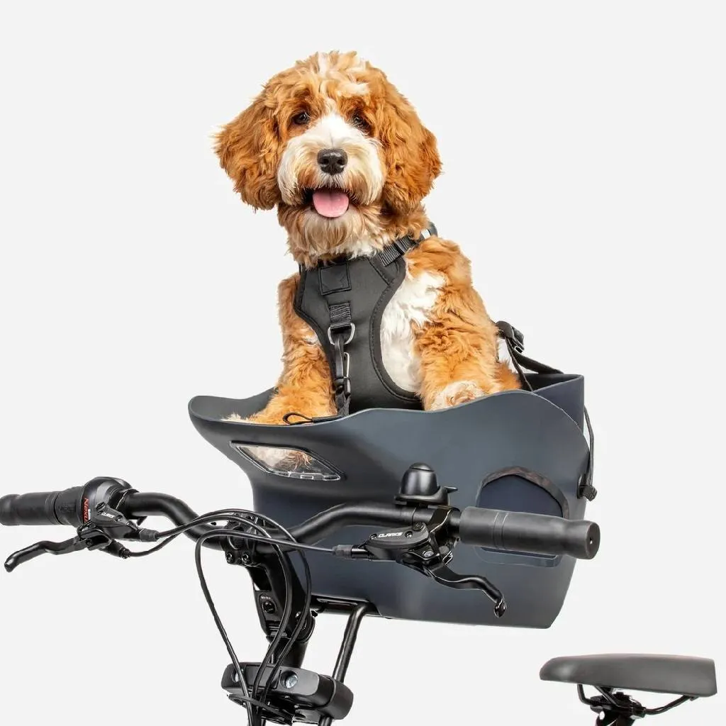 A small, happy dog looking forward while safely secured in a Kvisp front dog bike carrier, highlighting its padded seating and interaction benefits for UK pet owners.