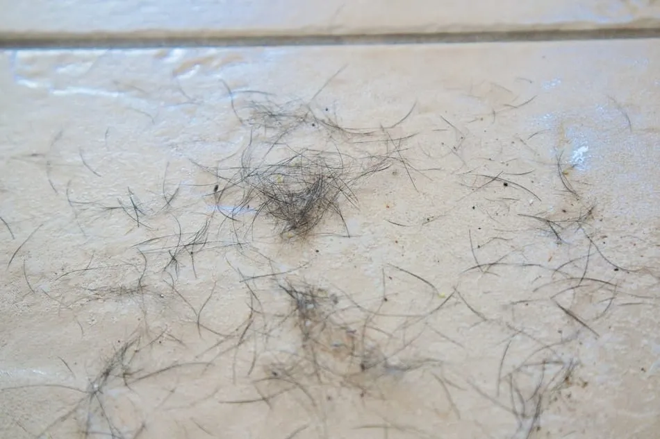 A small, neatly swept pile of short, thick Doberman hairs on a light-colored tile floor.