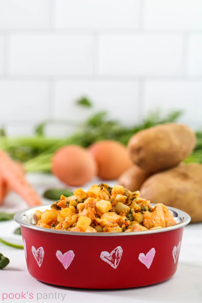 A small red bowl filled with vet-approved homemade salmon dog food, showcasing a healthy meal for your pet.