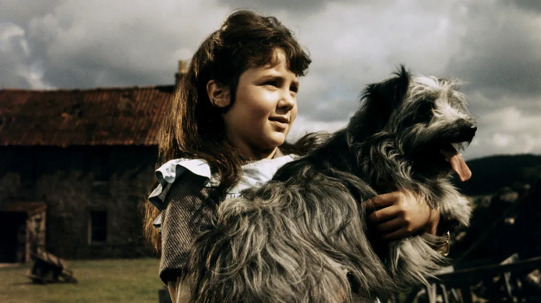 A small terrier dog, resembling Grayfriar's Bobby, sits faithfully by a tombstone in a historical setting, showcasing a true story dog movie inspiration.