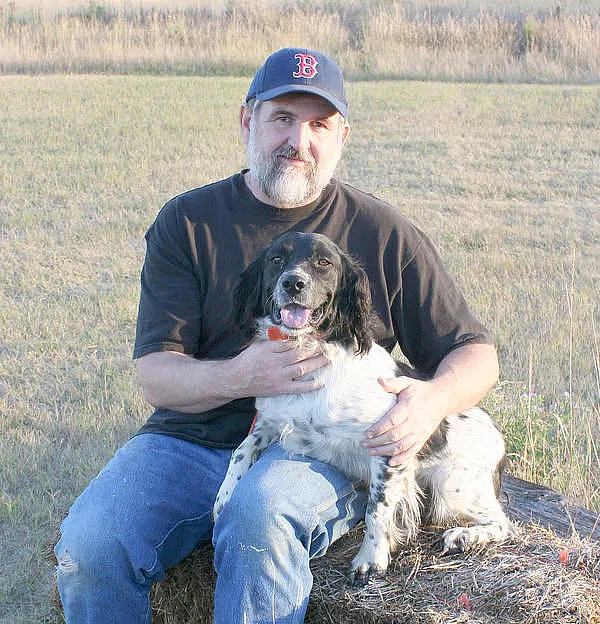 A Springer Spaniel standing alert in a field, ready for a hunt.