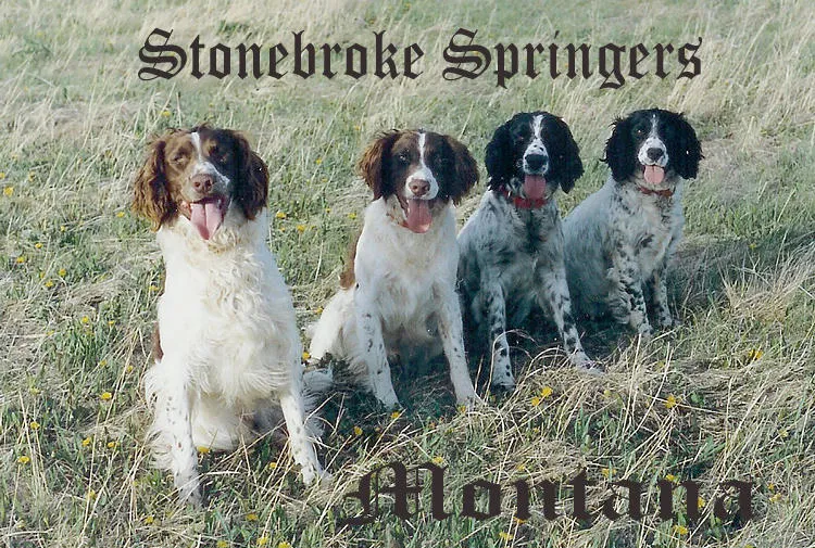 A Stonebroke Kennels banner.